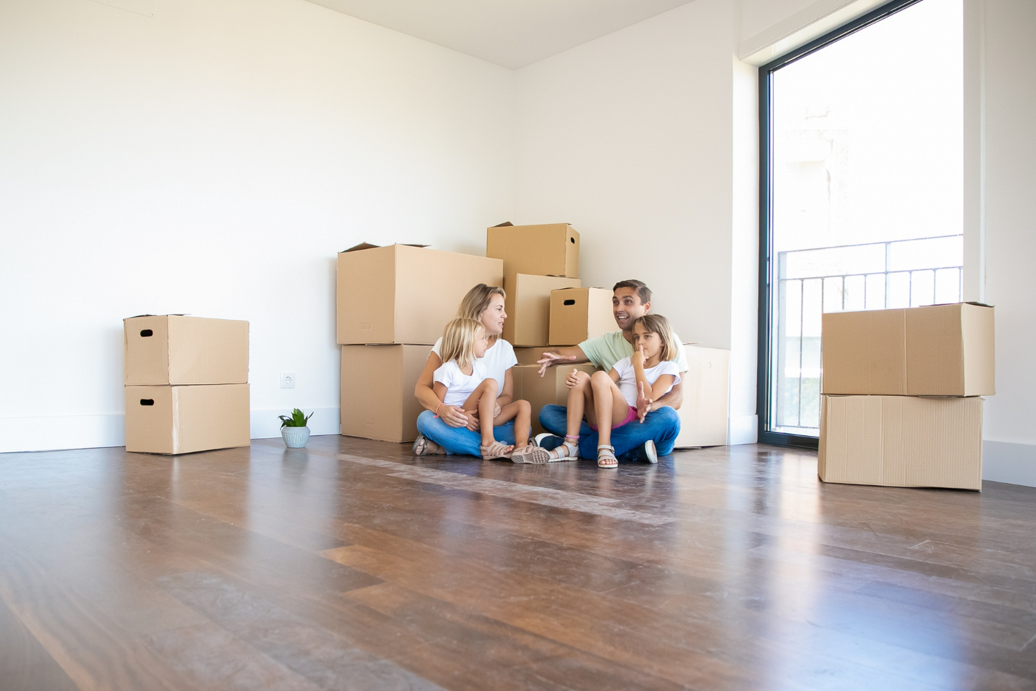 Home removals image with a colorful couch, bookshelf, and a black cat